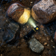Armytek ELF C2 (Warm Light) USB-C Şarjlı Çok Amaçlı LED El Feneri